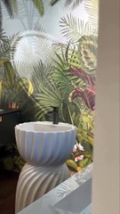 5 Reasons Why a Standing Wash Basin is the Perfect Upgrade for Your Bathroom