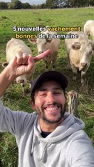 5 nouvelles qui vont te donner le smile