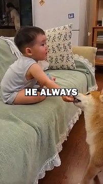 DOG AND BABY FRIENDSHIP! #animalstories #pets #funnyanimals #animals #cutedog #cute #dogs #doglove