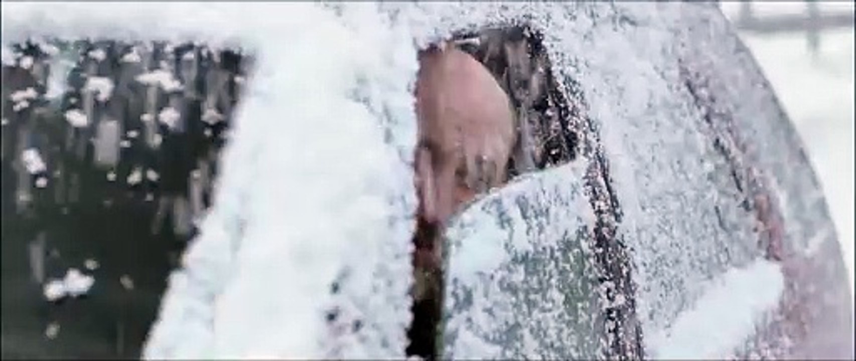 A World Apart Trailer OmeU