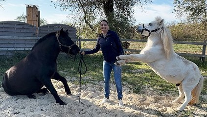 Agde : Émilie Boucard, une passion pour la nature et les animaux au service du bien-être