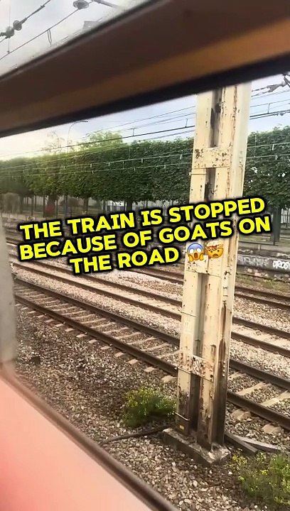 when the nature takes back the control