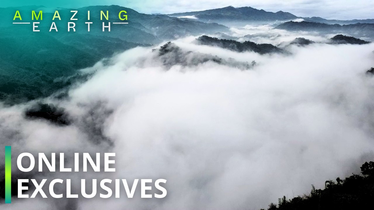 Amazing Earth Have a quick adventure escape at Caza Peregrine!