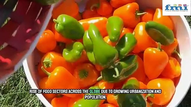 Innovative Packaging Solutions Propel Fresh Food Packaging Market Growth