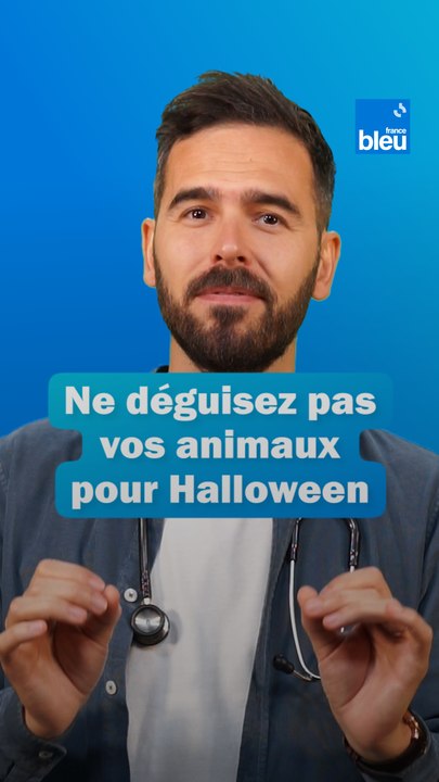 Ne déguisez pas vos animaux : les dangers d'Halloween
