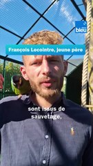 Francois Lecointre l'ami des perroquets