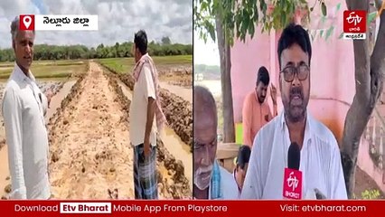 20 ఎకరాల ప్రభుత్వ భూమి కబ్జా