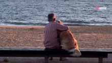 Frau muss weinen, als sie sieht, was ein Mann mit einem Hund am Strand treibt