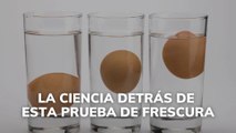 La ciencia detrás de esta prueba de frescura