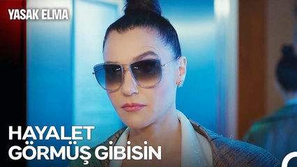 Şahika'nın Planı Ayağına Dolandı - Yasak Elma 74. Bölüm