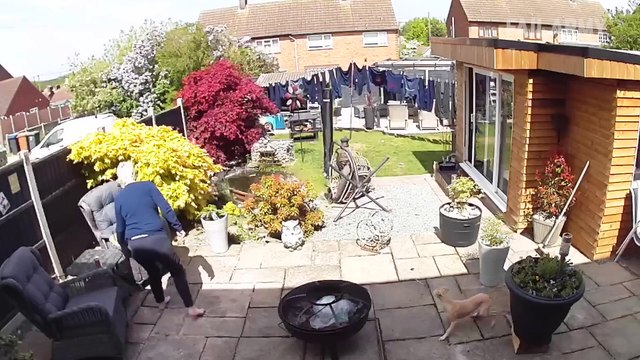 People Being Idiots ｜ Try Not To Laugh #funny #fails #laugh