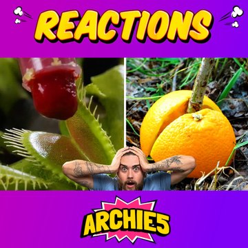 You Won’t Believe These Plant Hacks! The Dudes REACT to 5-Minute Crafts Plant and Insect Hacks!