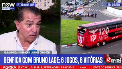 Adepto Benfica Feyenoord