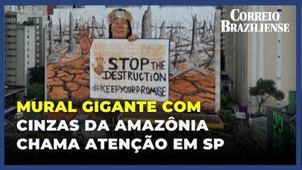 Ativista pinta mural gigante com cinzas da Amazônia em São Paulo