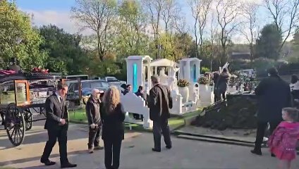 Horses lead funeral procession for Terry Collins, brother of King of Sheffield