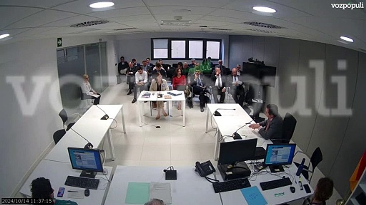 Ana Balbás, auditora del Ministerio de Transportes, en la declaración del Caso Koldo