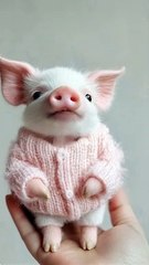 Cute Critter Chronicles 