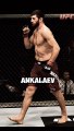 Magomed Ankalaev vs. Aleksandar Rakic Who will fight #alexpereira #ufc308 #ankalaev