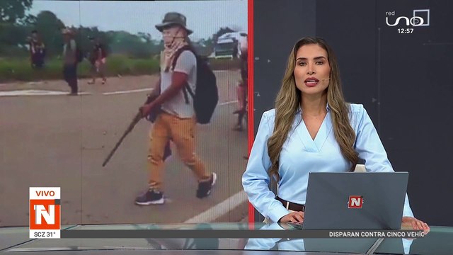 QUIENES HAN SIDO VISTOS E IDENTIFACOS CON ARMAS EN LOS BLOQUEOS DEBEN SER ACUSADOS DE INTENTO DE ASESINATO AFIRMA EXPERTO EN SEGURIDAD