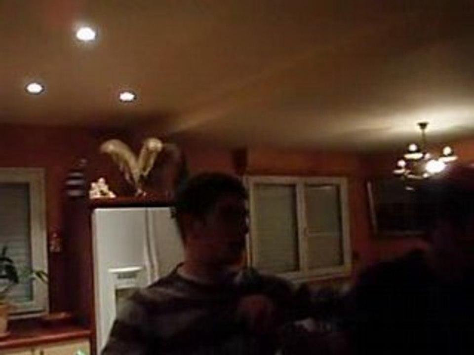 P1010236