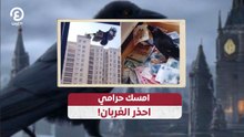 امسك حرامي احذر الغربان!