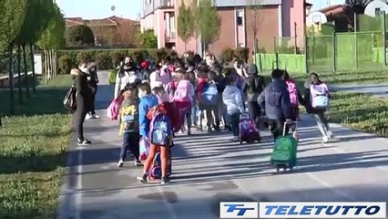 Video News - Dsa, 1500 casi all'anno