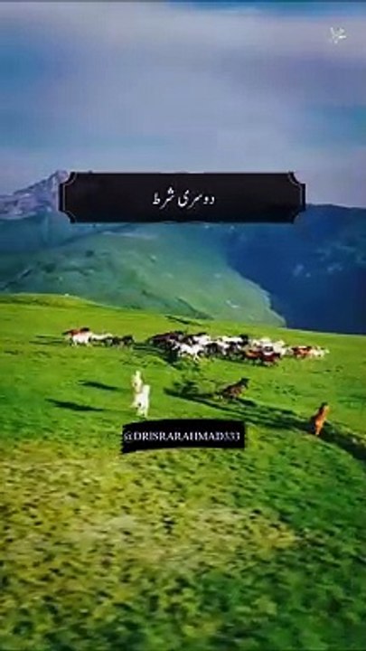 VID-20241024-WA0065