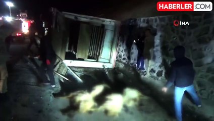 Tunceli'de Canlı Hayvan Nakil Aracı Devrildi: Sürücü Yaralandı, Hayvanlar Telef Oldu