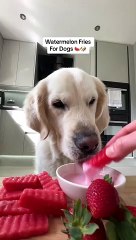 Woman makes dog friendly watermelon fries and smoothie dip!