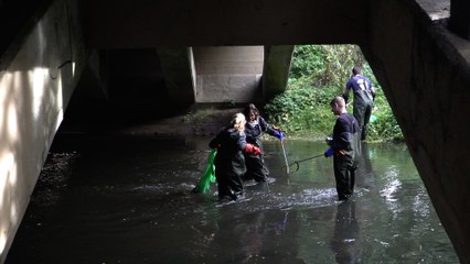 River Stour clean up reveals shocking fly-tipping finds