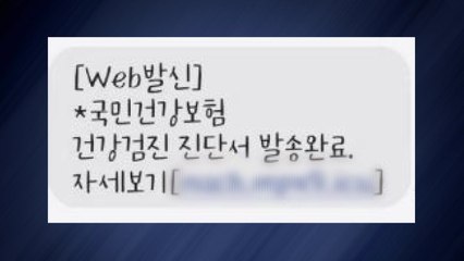 "건강검진 진단서 인터넷 주소 발송"...사기 문자 주의 / YTN