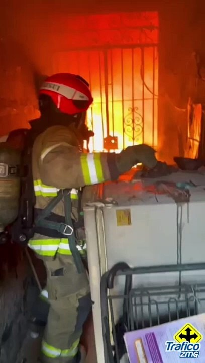 Esto sucedió en la colonia centro