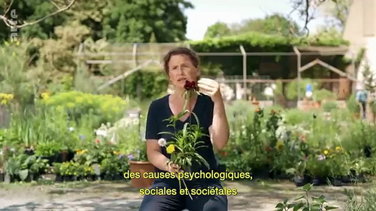 Pourquoi manger ce qu’on mange ? | 42, la réponse à presque tout