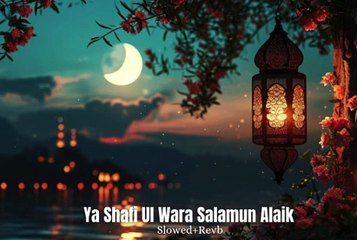 Ya Shafi Ul Wara Salamun Alaik _ Slowed+Revb _ Owais Raza Qadri - New Salam  2024