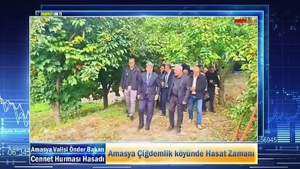 Amasya Çiğdemlik köyünde Hasat Zamanı