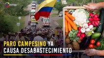 Paro minero y campesino: reportan desabastecimiento de alimentos y combustible en varias ciudades