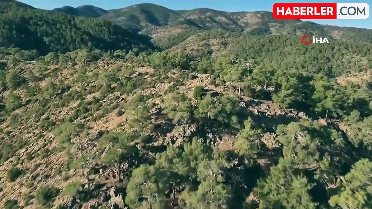 Muğla'da Kaçak Avcılık Denetimi: İki Kişiye Para Cezası