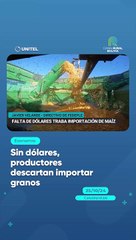 Sin dólares, productores descartan importar granos