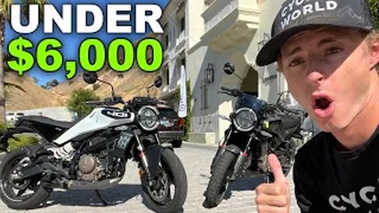Should you buy the Vitpilen 401 or Svartpilen 401?