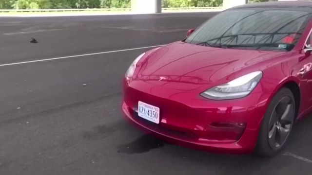 머스크 '성장 확신' 전망에 테슬라 주가 22% 급등 / YTN