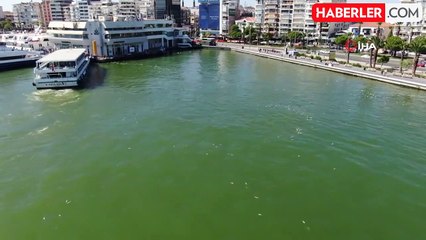 İzmir Körfezi'nde Balık Ölümleri Dünya Rekoru Kırdı