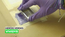Heróis Verdes: Vividye