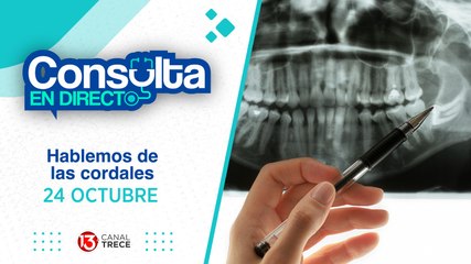 24 Octubre 2024 | Consulta en Directo - Cordales