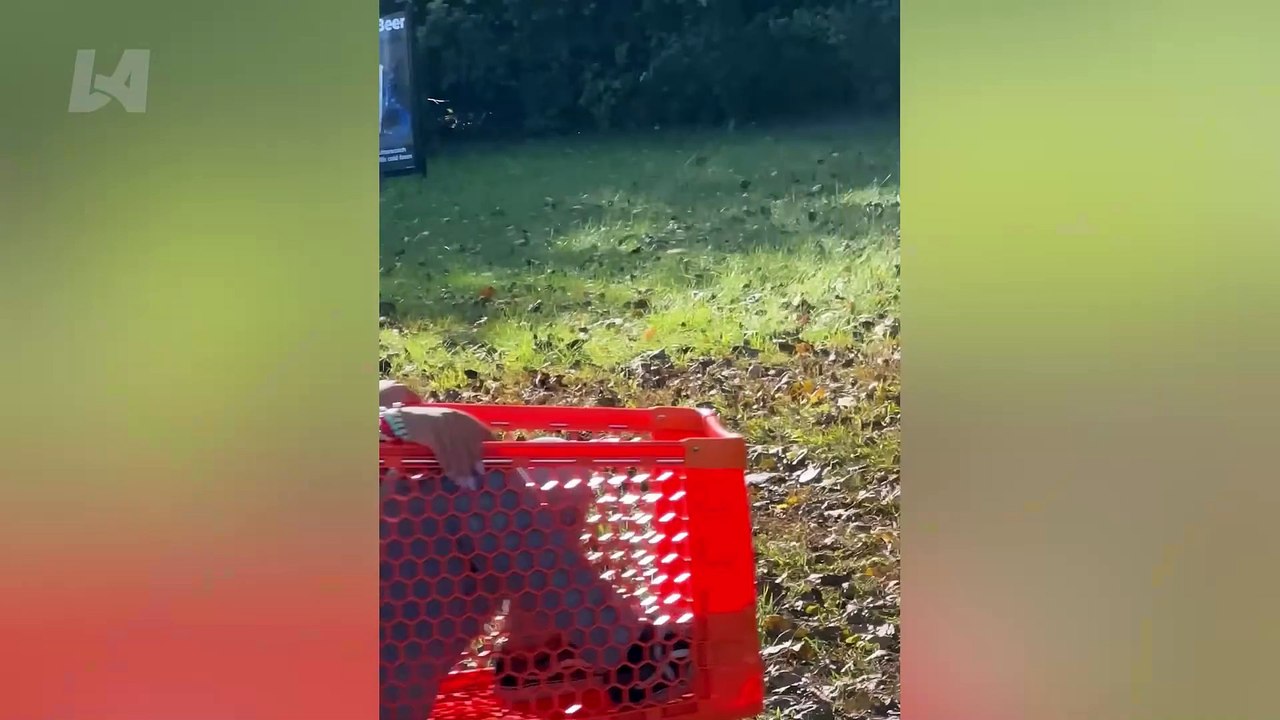 Fun and entertainment