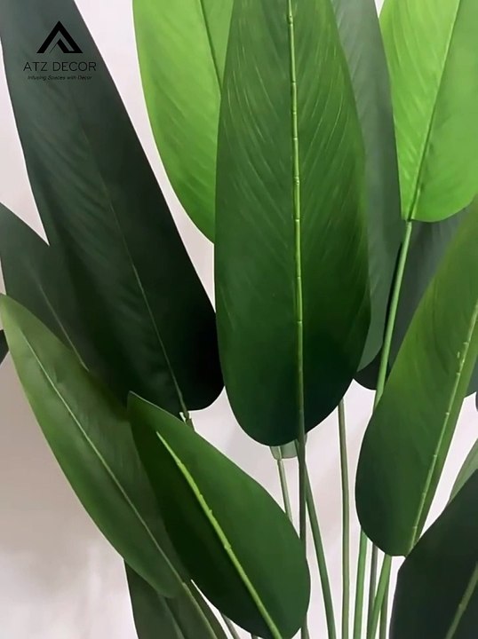 Thanh lý cây dong riềng giả bền đẹp, giá khuyến mãi, chất lượng cao, đủ kích thước, bảo hành lâu dài, vận chuyển toàn quốc