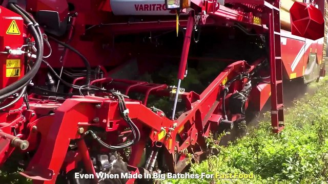 Mcdonald's French Fries MEGA Factory: Processing Millions Of French Fries With Modern Technology