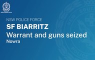 Warrant and guns seized in Nowra