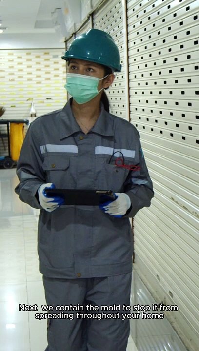  Effective Mold Solutions: Your Guide to Removal and Remediation! 