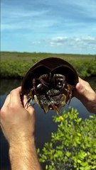 Chinese TikTok-DIY Magic: Create Something Amazing