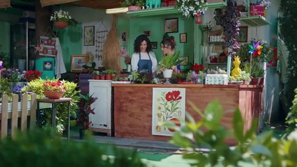 Love Is in the Air ❤️